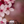 Load image into Gallery viewer, International Women&#39;s Day Card
